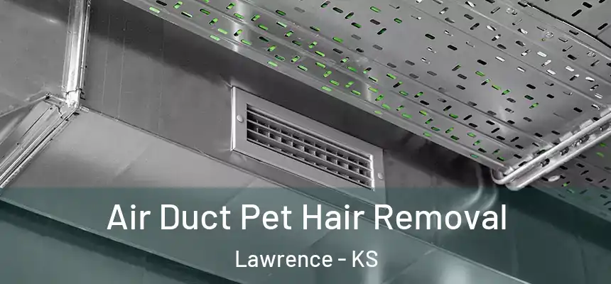  Air Duct Pet Hair Removal Lawrence - KS