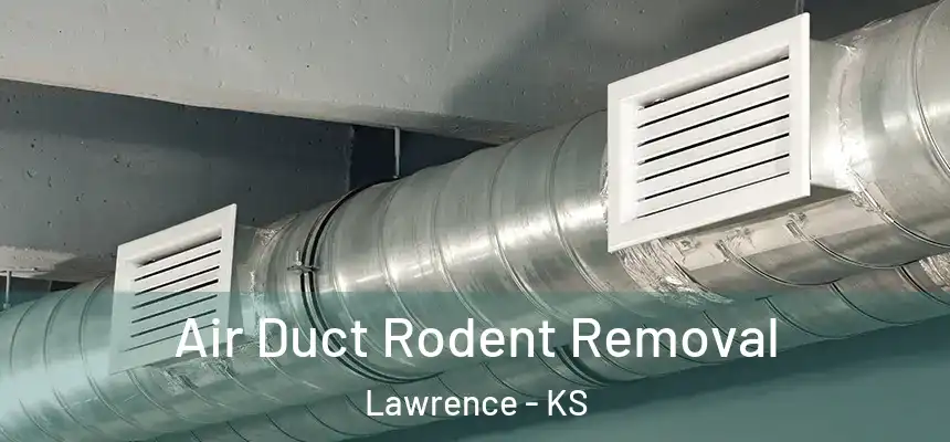 Air Duct Rodent Removal Lawrence - KS