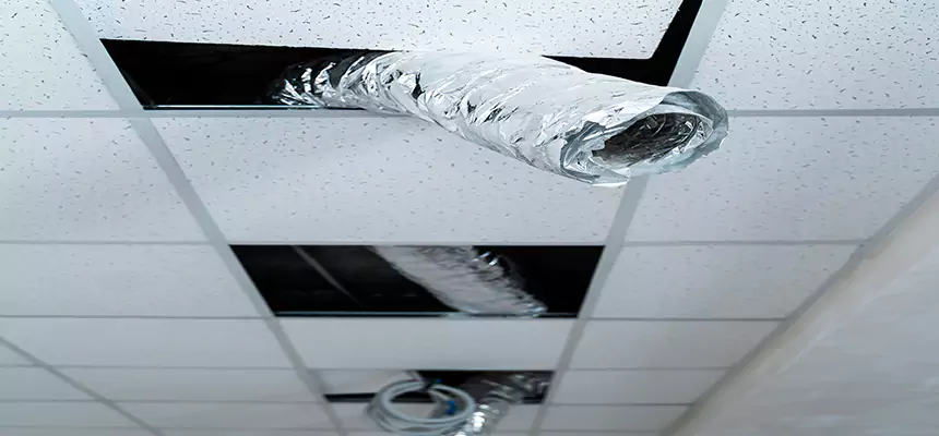 Our Air Duct Pet Hair Removal Services in Lawrence, KS