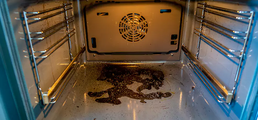 Our Dryer Vent Mold Cleaning Services in Lawrence, KS