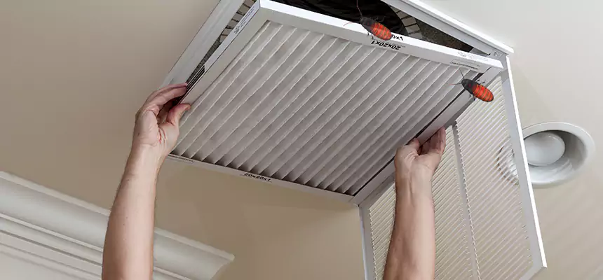 Our Insect Removal from Air Ducts Services in Lawrence, KS