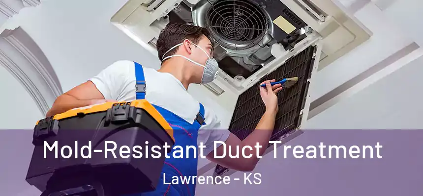  Mold-Resistant Duct Treatment Lawrence - KS