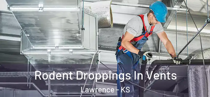  Rodent Droppings In Vents Lawrence - KS