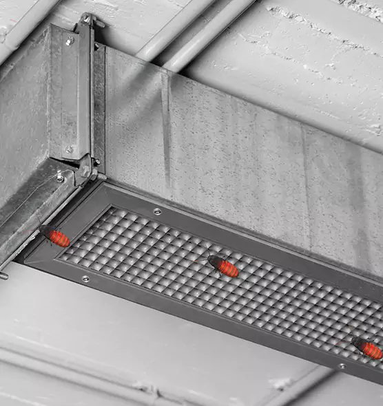 About Air Duct Cockroach Removal in Lawrence, KS