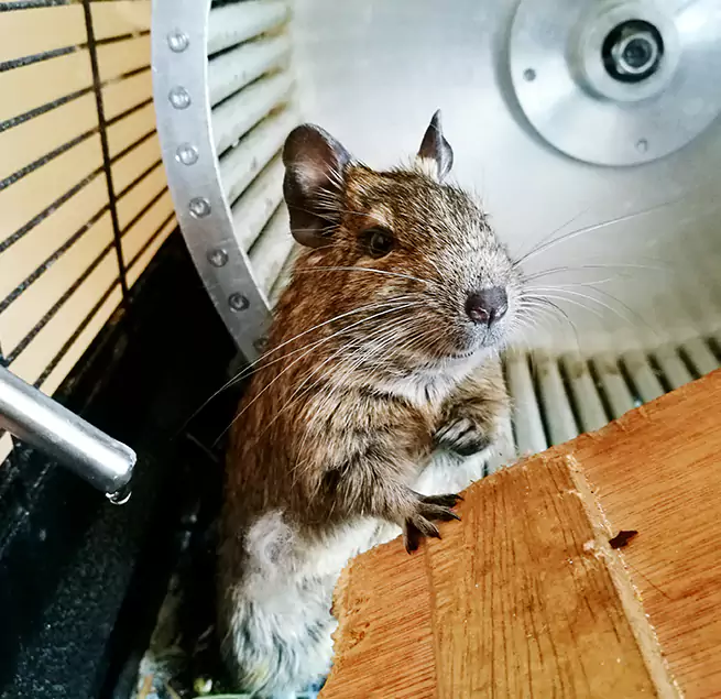 Why Homeowners & Businesses Trust Us Lawrence, KS