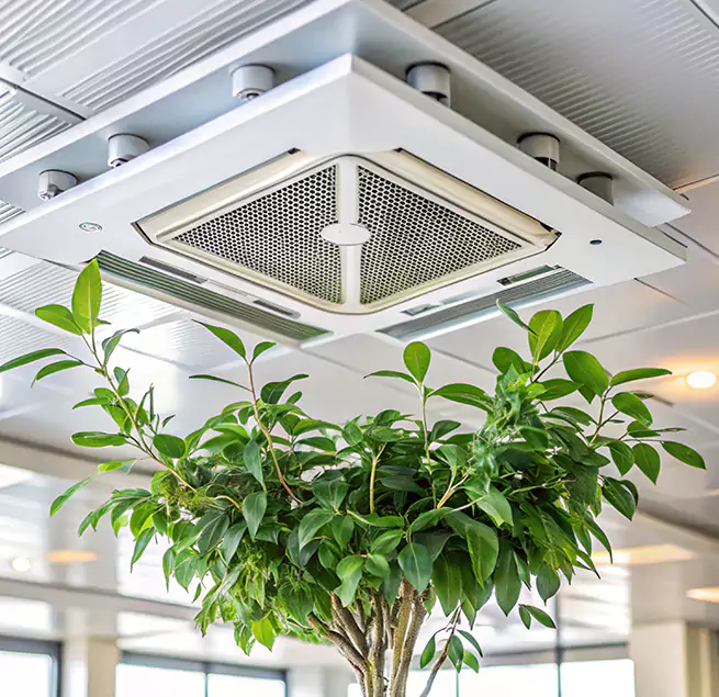 Why Homeowners & Businesses Trust Us in Lawrence, KS